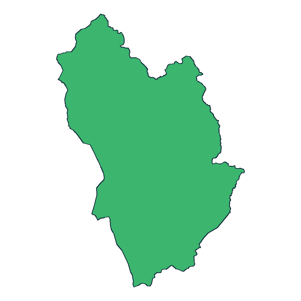 Capinota