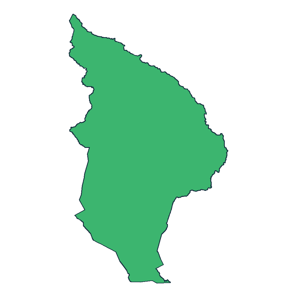 Pojo
