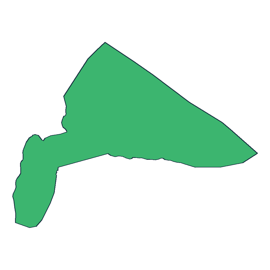 Tacachi
