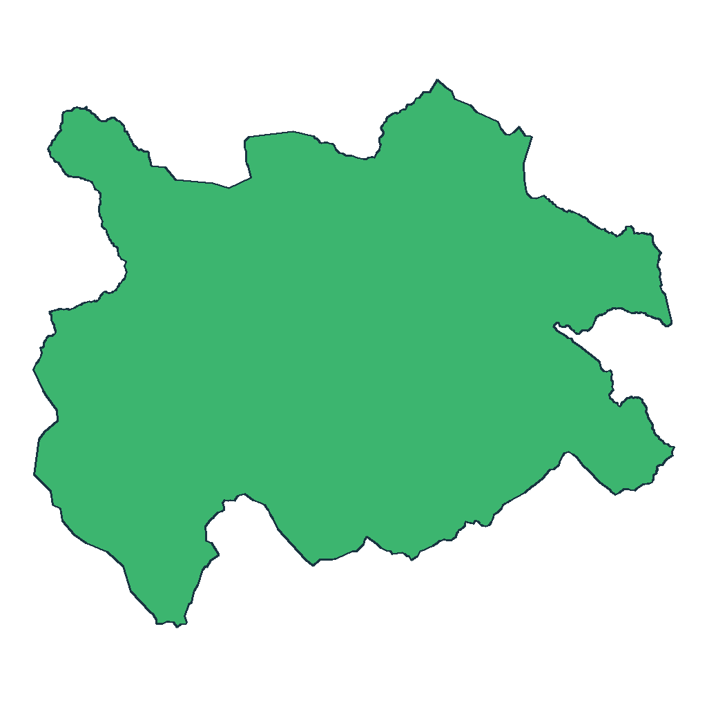 Tapacari