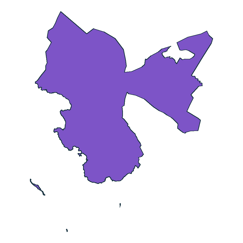 Puerto Acosta