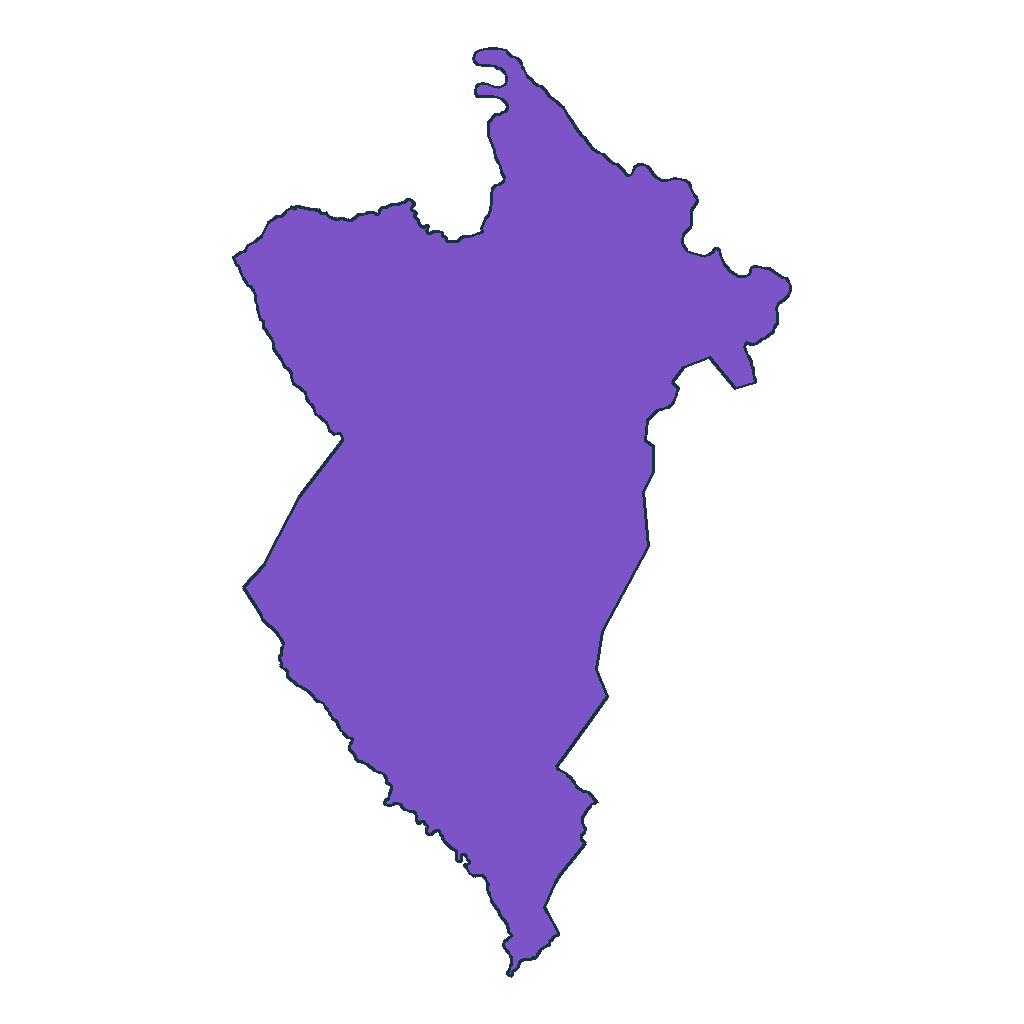 Teoponte