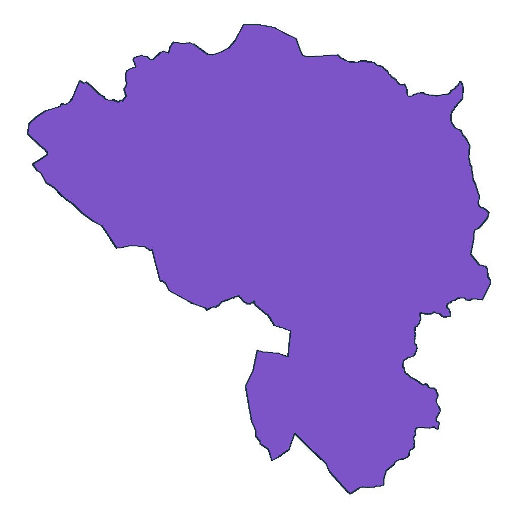 Sapahaqui