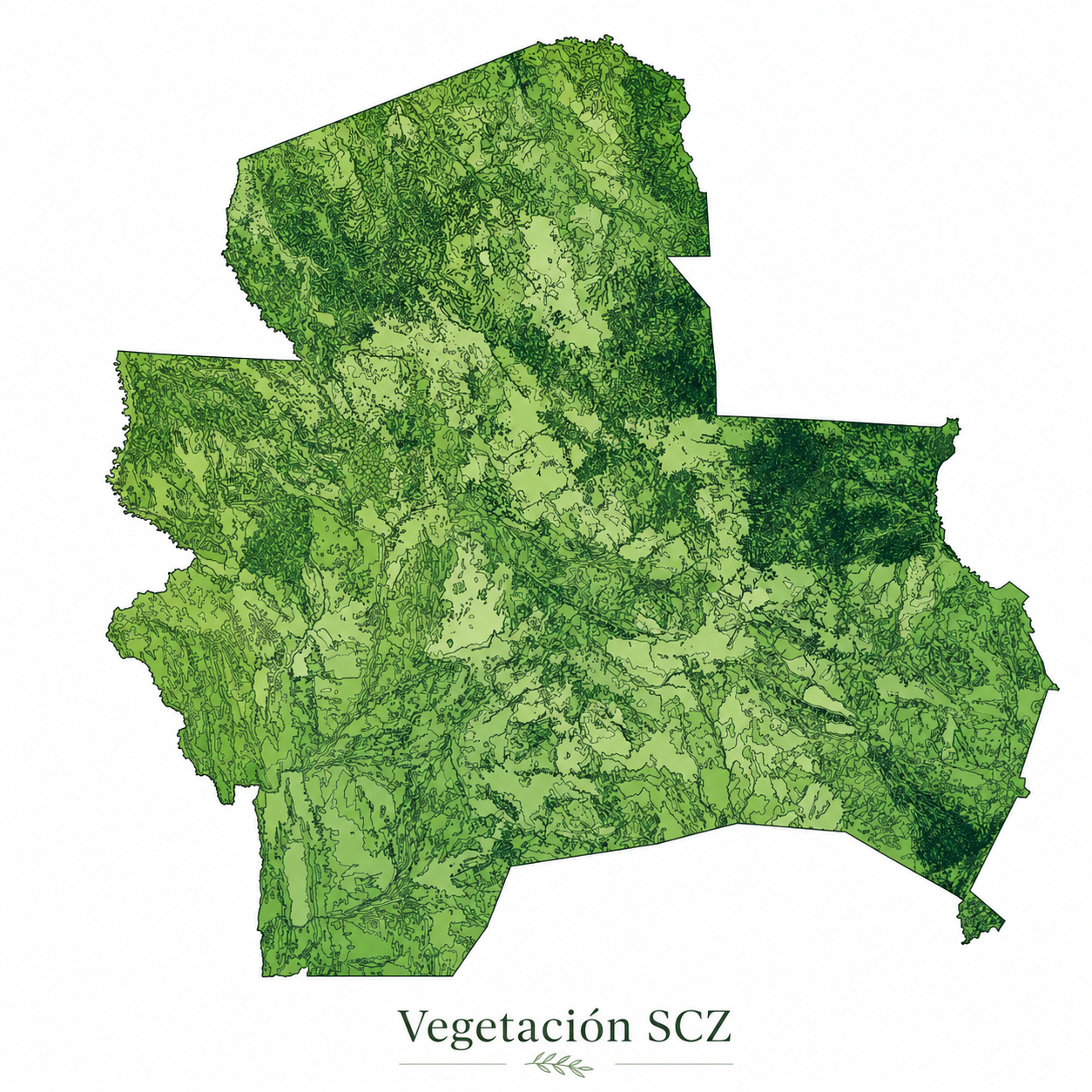 Vegetación de Santa Cruz