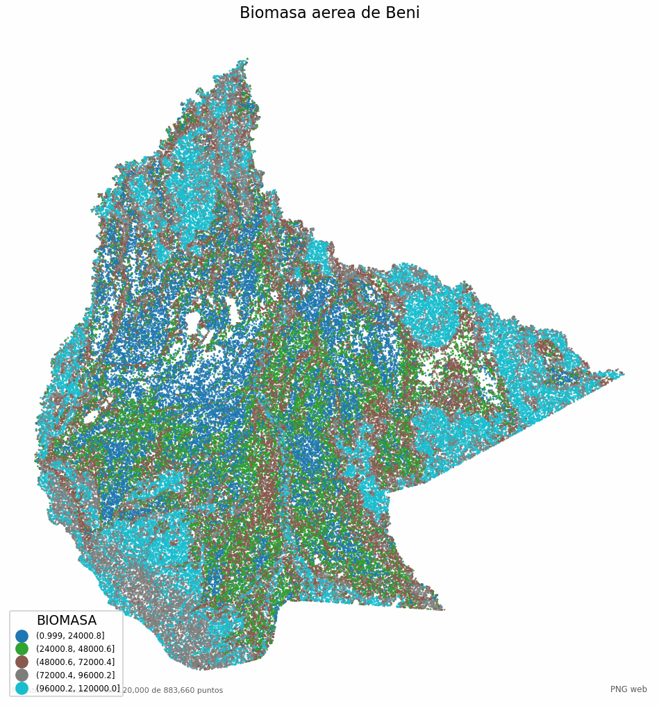 Biomasa aérea de Beni en polígonos