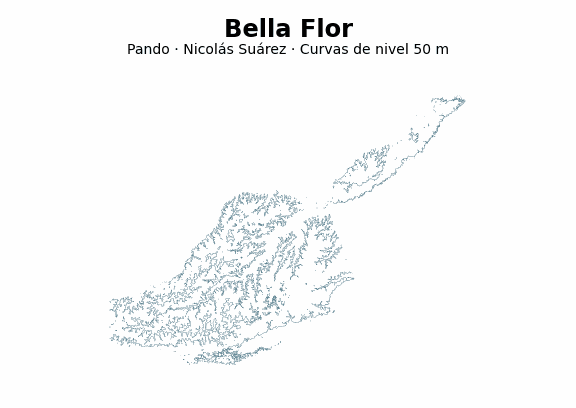 Curvas de nivel cada 50 m - Municipio de Bella Flor, Pando