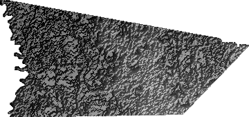 Modelo Digital de Elevaciones (SRTM) - Municipio de San Javier, Beni