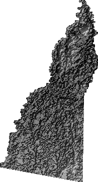 Modelo Digital de Elevaciones (SRTM) - Municipio de San Ramón, Beni