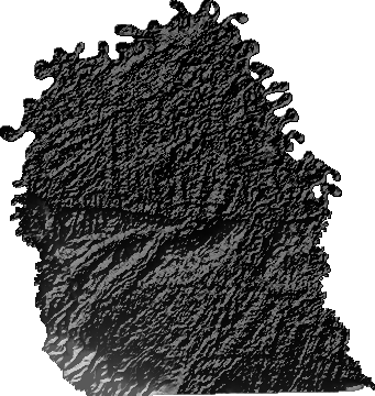 Modelo Digital de Elevaciones (SRTM) - Municipio de Puerto Villarroel, Cochabamba