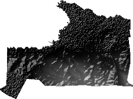 Modelo Digital de Elevaciones (SRTM) - Municipio de Puerto Mayor de Guaqui, La Paz