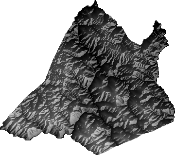 Modelo Digital de Elevaciones (SRTM) - Municipio de La Asunta, La Paz