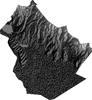 Modelo Digital de Elevaciones (SRTM) - Municipio de Eucaliptus, Oruro