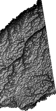 Modelo Digital de Elevaciones (SRTM) - Municipio de Ingavi, Pando