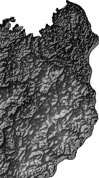 Modelo Digital de Elevaciones (SRTM) - Municipio de Nueva Esperanza, Pando