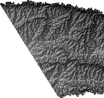 Modelo Digital de Elevaciones (SRTM) - Municipio de Bolpebra, Pando