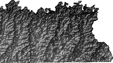 Modelo Digital de Elevaciones (SRTM) - Municipio de Cobija, Pando