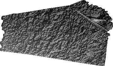 Modelo Digital de Elevaciones (SRTM) - Municipio de Pailón, Santa Cruz