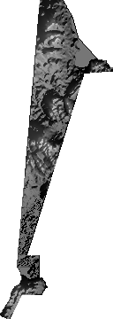 Modelo Digital de Elevaciones (SRTM) - Municipio de Puerto Quijarro, Santa Cruz