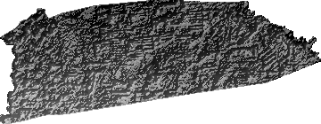 Modelo Digital de Elevaciones (SRTM) - Municipio de Cuatro Cañadas, Santa Cruz