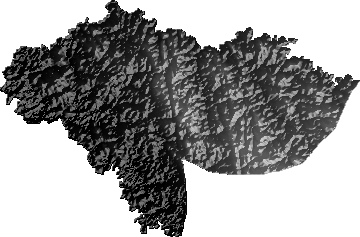 Modelo Digital de Elevaciones (SRTM) - Municipio de San Ramón, Santa Cruz