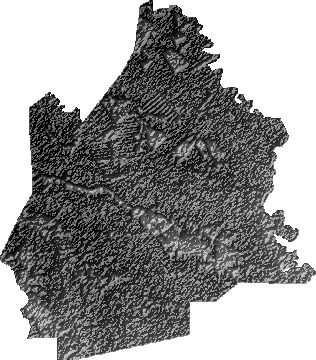 Modelo Digital de Elevaciones (SRTM) - Municipio de Fernández Alonso, Santa Cruz