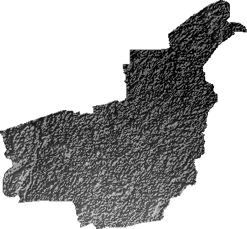 Modelo Digital de Elevaciones (SRTM) - Municipio de General Saavedra, Santa Cruz