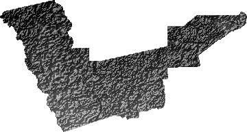 Modelo Digital de Elevaciones (SRTM) - Municipio de Mineros, Santa Cruz