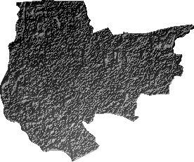 Modelo Digital de Elevaciones (SRTM) - Municipio de Montero, Santa Cruz