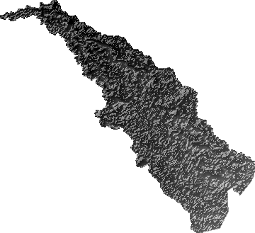 Modelo Digital de Elevaciones (SRTM) - Municipio de San Pedro, Santa Cruz