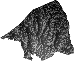Modelo Digital de Elevaciones (SRTM) - Municipio de Colpa Bélgica, Santa Cruz
