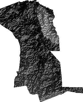 Modelo Digital de Elevaciones (SRTM) - Municipio de San Ignacio, Santa Cruz